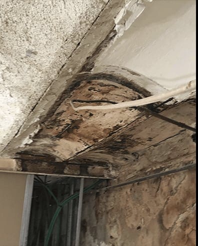 Viga de madera con galerías de termitas y pérdida de sección en el apoyo
